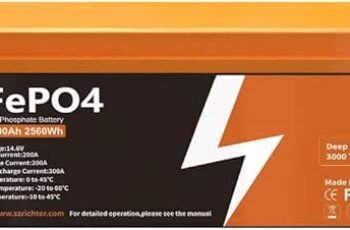 Litime 12V 200Ah Mini LiFePO4 Battery with Bluetooth (Group 31+) Review — Worth Buying?